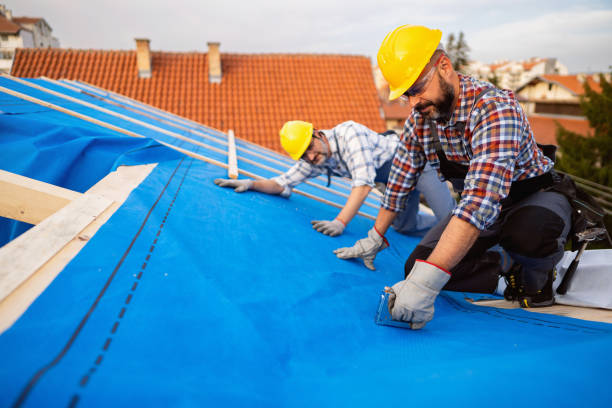 Roof Gutter Cleaning in Brush, CO