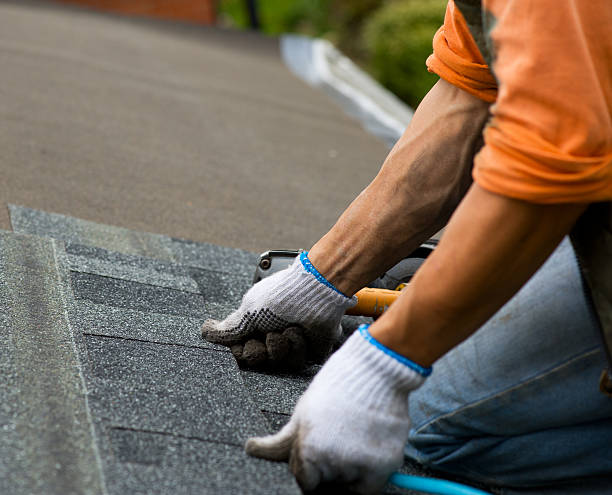 Best Flat Roof Repair Services  in Brush, CO