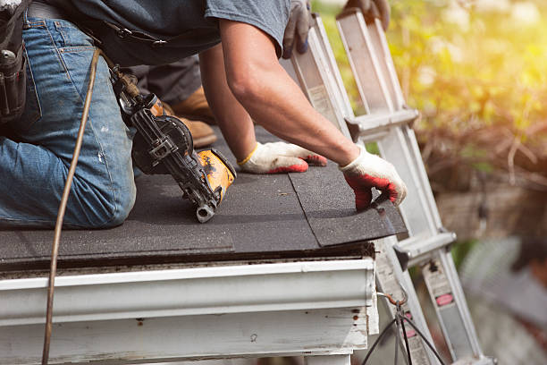 Best Roof Waterproofing Services  in Brush, CO